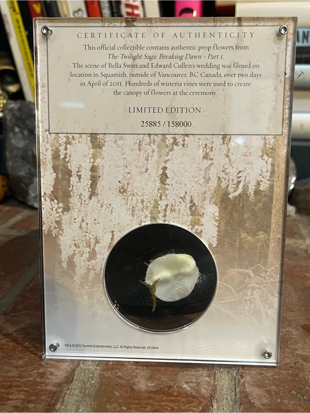 The Twilight Saga: Breaking Dawn Part 1 Pressed Flower Display - White - Picture 2 of 7